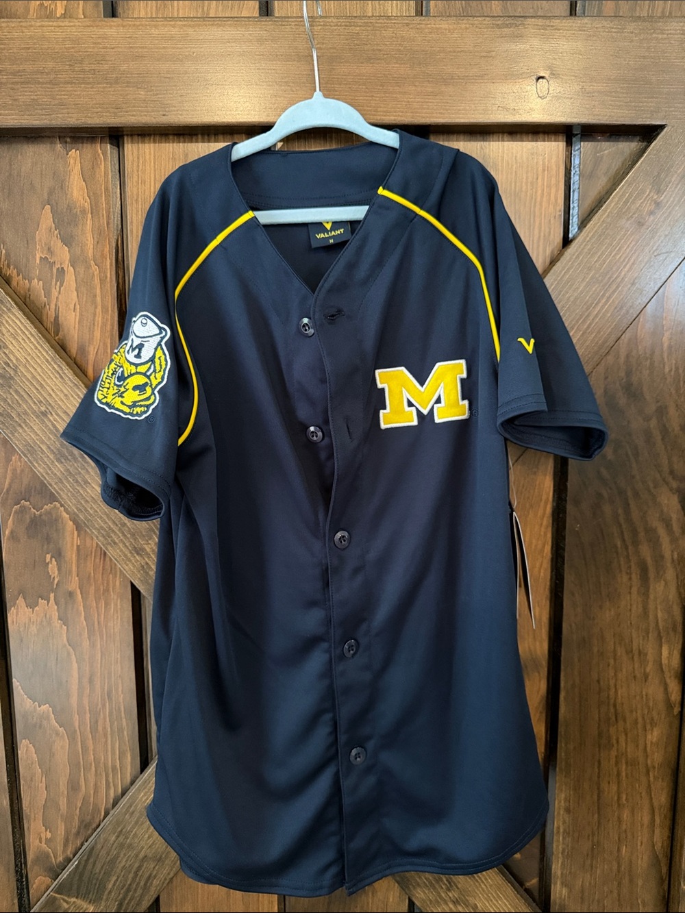 Valiant Michigan Youth Baseball Jersey, Medium